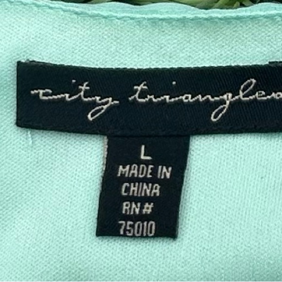 Sz L-Mint green chiffon dress with lace daisy sleeves. Purchased on ModCloth - Picture 3 of 5